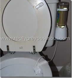 scrubbing bubles toilet cleaner