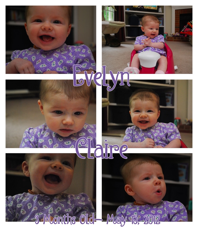 ECH 3 months