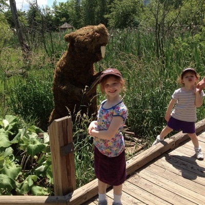 Beaver Fever