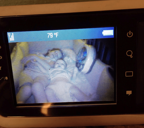 biggest and littlest in the crib