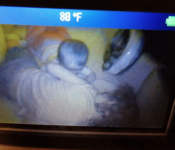 middle and littlest in the crib