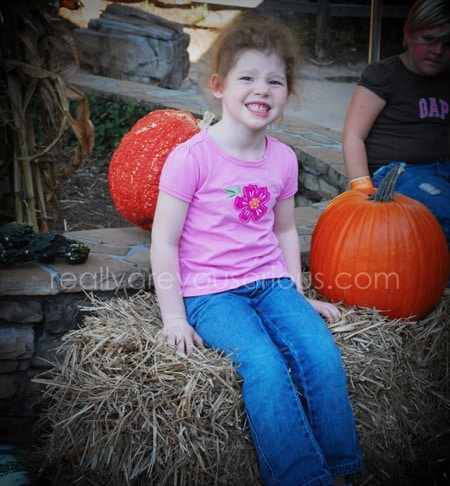 Stone Moutain Pumpkin Festival