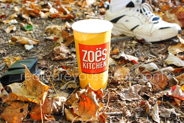 zoes kitchen catering for kids and adult birthday party