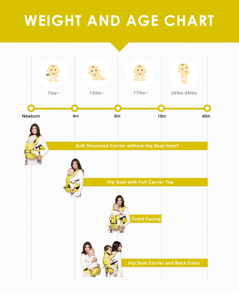 lillebaby carrier positions