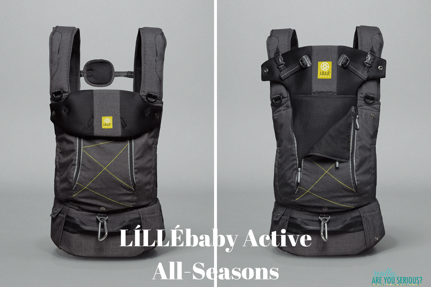 lillebaby active